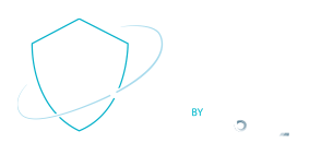 executive protection